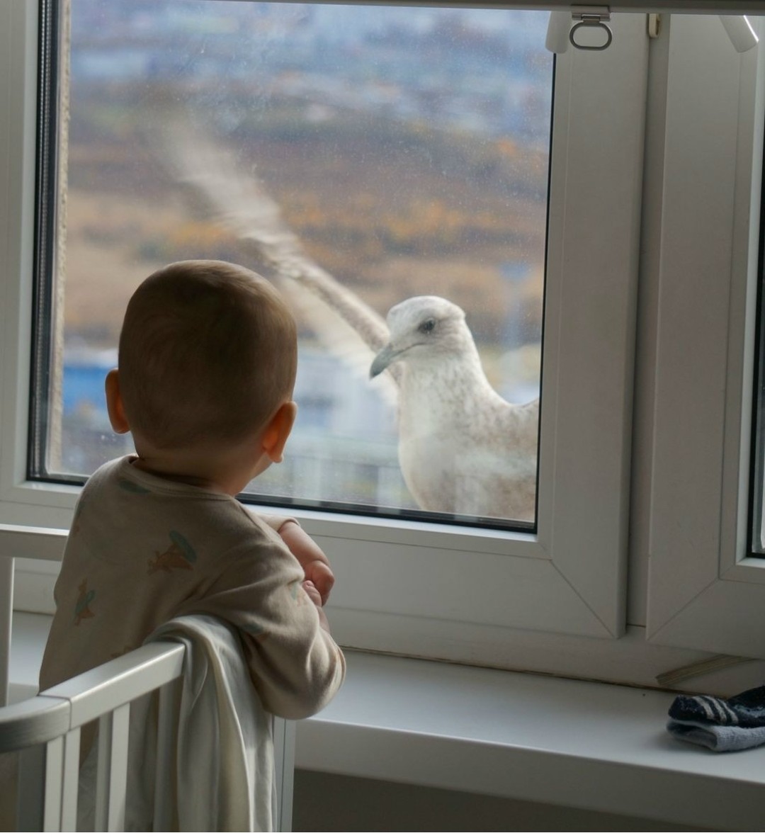 Знаки