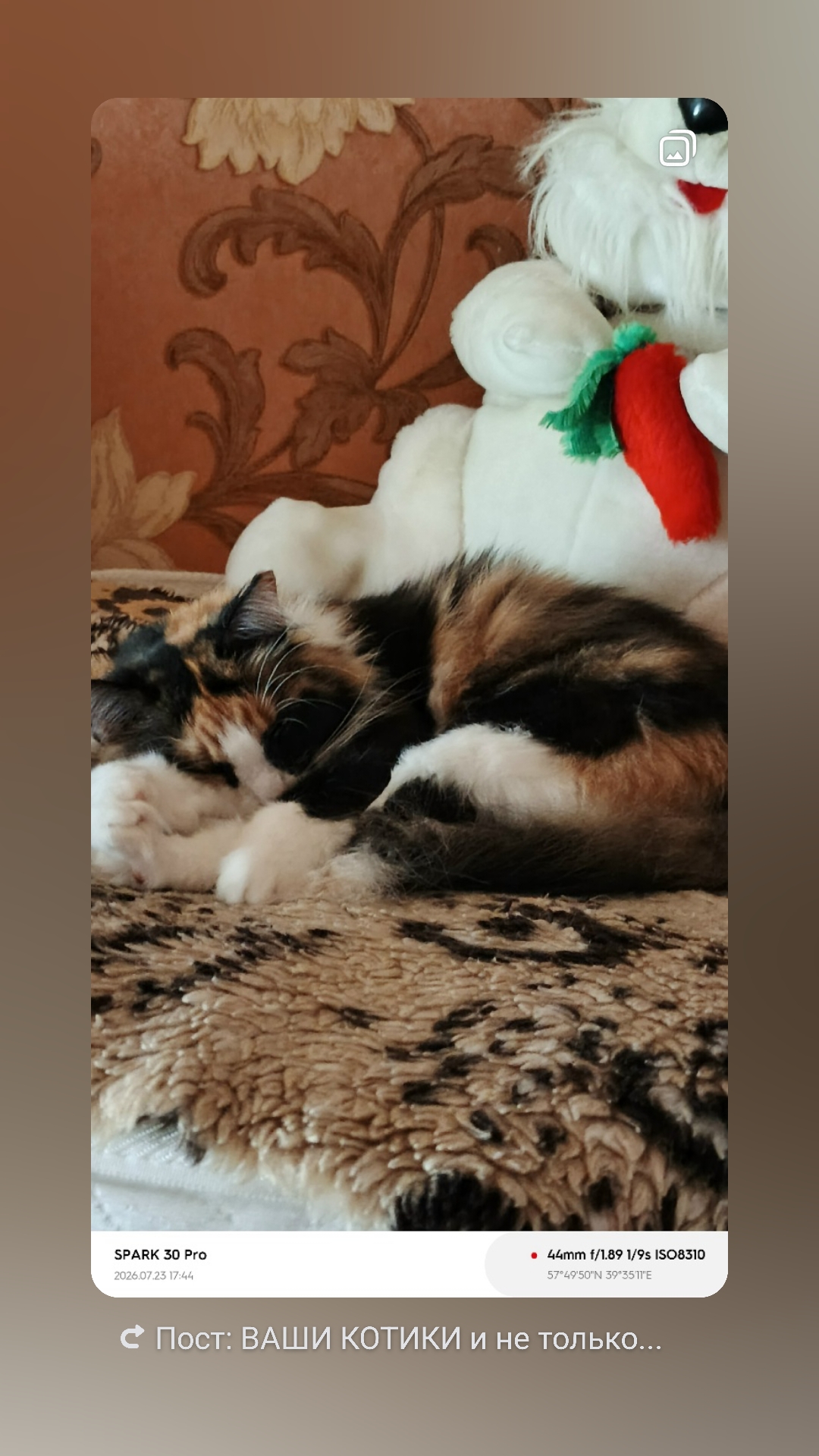Светлана Хохлова