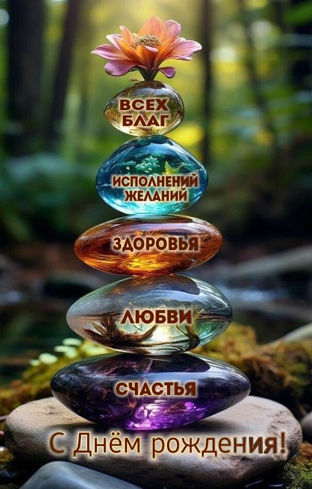 Мой день